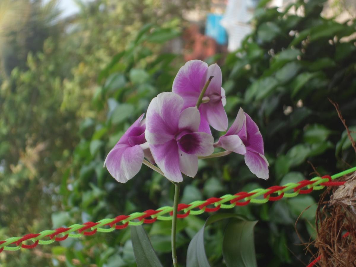 New Heaven Beach Resort Varkala Buitenkant foto